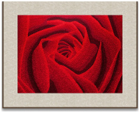 Картина вышитая шелком Красная роза - символ любви Размер 69 х 52 см