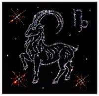 Картина со стразами Козерог 25x25 см