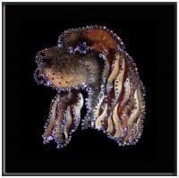 Хрустальная картина Спаниель