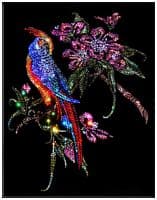 Символ счастья Райская птичка