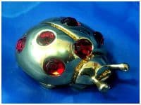 Божья коровка (большая)