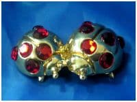 Пара божьих коровок (большие)