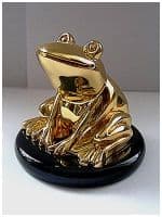 Лягушка малая - символ скрытой красоты Италия