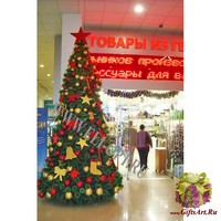 Ель Ствольная Высотная  (Леска) Виктория Люкс 7м