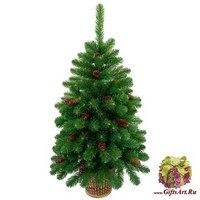 Искусственная елка Gracia 1,0м