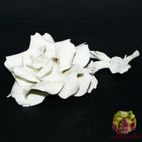 Декоративная роза, белая