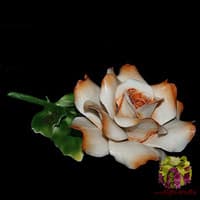 Декоративная роза