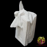 Фея на книге