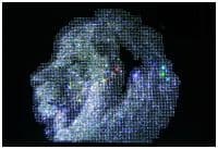 Картина со стразами Большой Лев 40х60 см