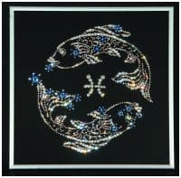 Звездные рыбы