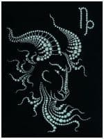 Хрустальная картина Козерог 30х40