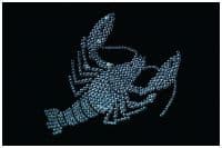 Хрустальная картина Рак 20х30