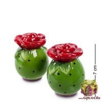 CMS-01/23 Набор соль-перец "Цветы"