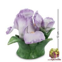 CMS-16/ 8 Арома-светильник &quot;Ирис&quot;