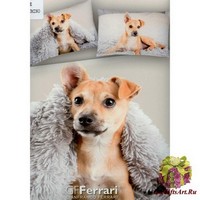 Постельное бельё + одеяло евро + &quot;GF FERRARI&quot;