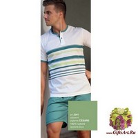 Летний мужской набор &quot;FERRUCCI&quot;