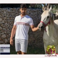 Набор мужской 3 предмета &quot;FERRUCCI&quot;