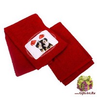 Набор новогодних махровых полотенец 2 штуки &quot;ALMATEX&quot;