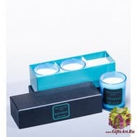 WD-15/ 1 Н-р из 3 свечей аром. &quot;Океан&quot; в под. кор.