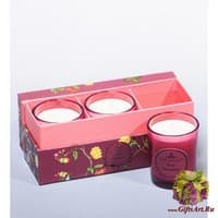 WD-16/ 1 Н-р из 3 свечей аром. &quot;Базилик и мандарин&quot; в под. кор.