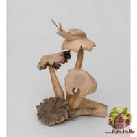 50-002 Статуэтка &quot;Улитка на грибе&quot; 20 см