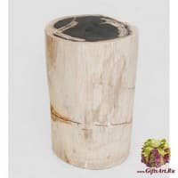 TB630 Камень древесный &quot;Гостья из прошлого&quot; 39 кг