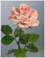 Роза керамическая нежно-персиковый цвет. Восхитительный подарок!