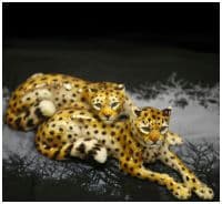 Пара гепардов. Цветная скульптура керамика Ahura. Длина 55 см Италия