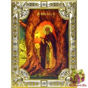 Икона освященная &quot;Тихон в дупле&quot;, 18х24 см, 18x24 см