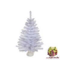 Ель Исландская  белоснежная 90 см в мешочке