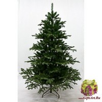 Forest Market Искусственная елка TORONTO SPRUCE (PE + ПВХ) 150 см.