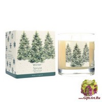 Зимняя красавица Ароматическая свеча Wax Lyrical