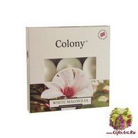 Белая магнолия Набор чайных свечей (9 шт) Wax Lyrical