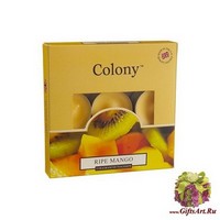 Спелый манго Набор свечей (9 шт) Wax Lyrical