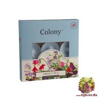 Душистый горошек Набор чайных свечей (9 шт) Wax Lyrical