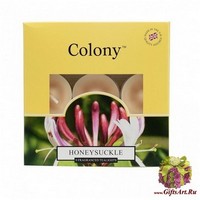 Цветущая жимолость Набор свечей (9 шт) Wax Lyrical