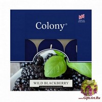 Дикая ежевика Набор чайных свечей (9 шт.) Wax Lyrical