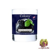 Дикая ежевика Ароматическая свеча Wax Lyrical