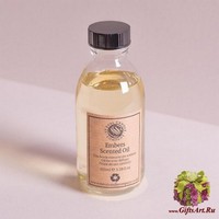 Аромат костра Наполнитель для ароматического диффузора St Eval candle co.