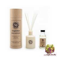 Вдохновение Ароматический диффузор St Eval candle co.