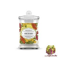 Фруктовый сад Ароматическая свеча Bago home