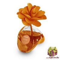 Тосканский цитрус Ароматический диффузор с цветком 400 мл. Muha`