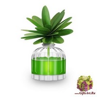 Магнолия и фрукты Ароматический диффузор с цветком Muha`