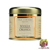 Андалузский апельсин Свеча в металле Wax Lyrical