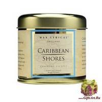 Побережье Карибского моря свеча в металле Wax Lyrical