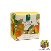 Спелое яблоко Набор чайных свечей (12 шт.) Wax Lyrical