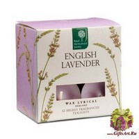Английская лаванда Набор чайных свечей (12 шт.) Wax Lyrical