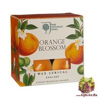 Флердоранж Набор чайных свечей (12 шт) Wax Lyrical