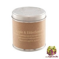 Яблоко и бузина Свеча в металле St Eval candle co.