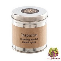 Вдохновение Ароматическая свеча в металле St Eval candle co.